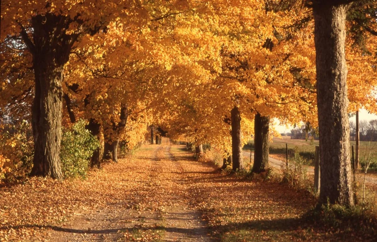 HVAC services in Westchester County